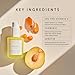 HERBIVORE Nova 15% Vitamin C + Turmeric Brightening Serum for Dark Spots, Hyperpigmentation + Even Skin Tone | Vegan, Plant-Based, Cruelty-Free, 30 mL / 1 oz