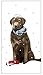 Winter Chocolate Labrador Lab Dog 100% Cotton Flour Sack Dish Tea Towel - Mary Lake Thompson 30" x 30"
