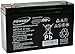 Powery Bateria de Gel para Vehículos para niños Coche Infantil Quad 6V 12Ah (Reemplaza también 10Ah)