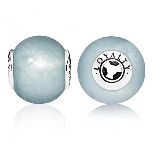Pandora 796005aq Essence Collection Loyalty Charm