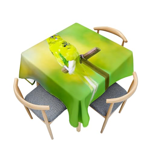 Image of Treer Table Cloth, Parrot Printing Square Tablecloths Wipeable Splash Proof Tablecloth Table Cloths for Kitchen Decoration Outdoor Picnic (60x60cm,Green Parrot)