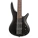 Ibanez Sr305Ebw Matte Black 5 String Low Electric, Low, Best Prices
