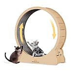 Homegroove Cat Exercise Wheel, 43 Inch Versatile Cat Wheels for Indoor Cats Running Wheel Treadmill with Detachable Carpet for Cat's Weight Loss and Health (Natural Wood Color, XL)
