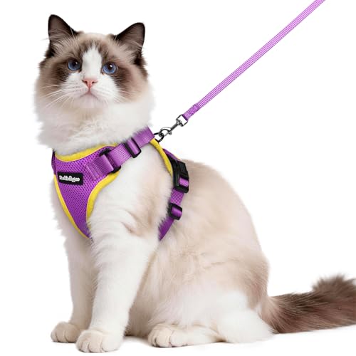 Image of rabbitgoo Cat Harness and Leash Set, Escape Proof Vest, Purple & Yellow