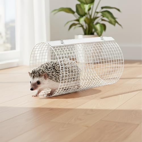 Jouets d'enrichissement métal lapin cochon d'Inde - 4