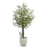 MAIA SHOP Olivo Artificial 105 cm con Tronco Natural y Aceitunas Decorativas, Planta Artificial Realista para Decoración Mediterránea de Hogar, Oficina, Hoteles o Eventos, Árbol Interior