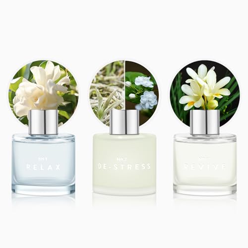 Difusor Aromático 100ml con 3 Varillas miniatura 3