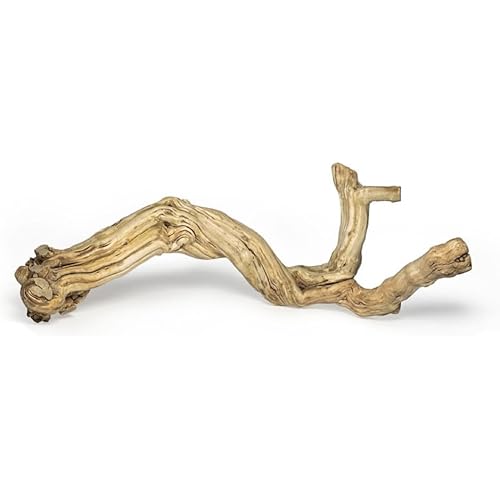 Large Reptile Branch, 15-17inch Length, Carefully Selected and Polished for Reptile Climbing Branch,Each one is Unique