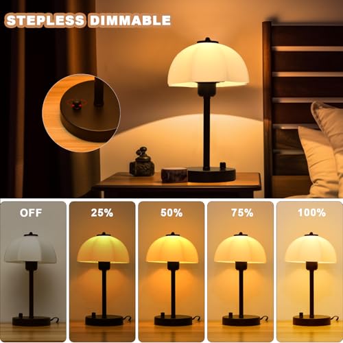 Glass Shade Table Lamp for Bedroom, Stepless Dimmable Bedside Lamps, Small Table with Premium Frosted Glass Shade, Desk Lamp Nightstand Lamp for Living Room, Bedroom, Office, Reading LED Bulb Included