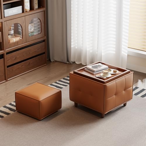 YQJJGL Square Ottoman with Storage Set of 2, Leather Coffee