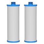Vickmons KW1 RV Water Filter 2.5 x 10" Compatible with RCS/FR1 Housing Replaces KW1 and FRE-10-BN Filtration Systems, 2-Pack