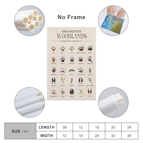 MAIHAIBAO Woodland Animal Tracks Canvas Wall Art - Educational Forest Field Guide Poster - Rustic Nature Nursery & Kids Room Decor - 12x18 Inch (Unframed)