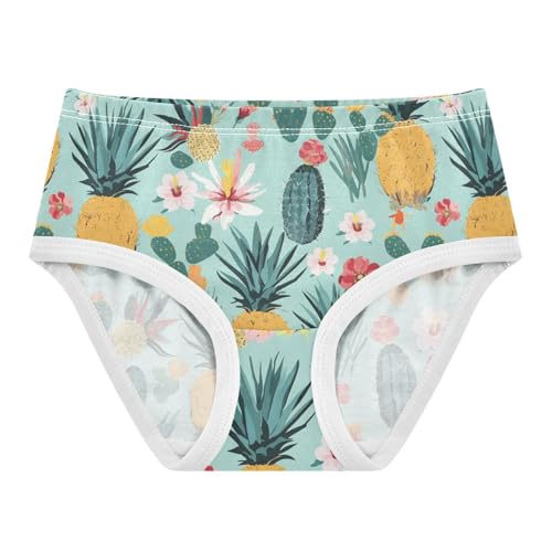Wusikd Cacti Pineapples Girls' Underwear Cotton Flowers Girls Briefs Soft Toddler Underwear 2T