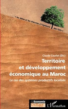 Territoire et développement économique au Maroc: Le cas des systèmes productifs localisés