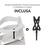 hauck B0BMM1346K lato 3