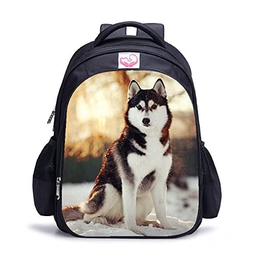 Sac à dos pour adolescents Husky mode idéal pour le collège et les sorties de votre enfant