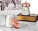 Amolliar Apothecary Jars Bathroom Storage Organizer -Countertop Storage Organizer Canister - Attractive Qtip Dispenser Holder Glass with Lid- for Cotton Swabs,Bath Salts,Hair Band / 2-Pack(Rose Gold)