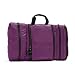 eBags Pack-it-Flat Toiletry Kit (Eggplant)