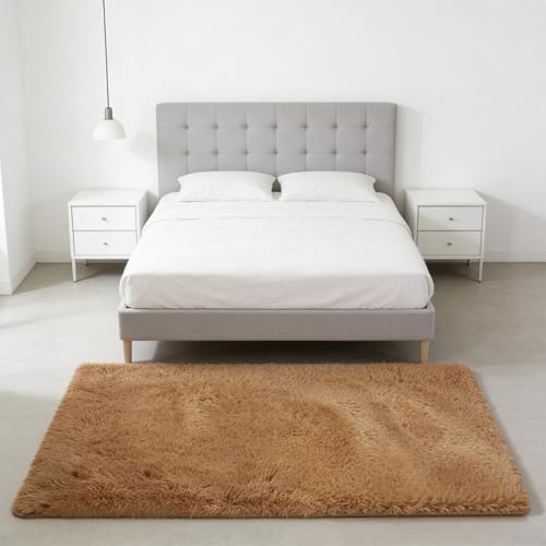 Tapis de Salon Élégant à Poils Longs Haute Densité pour un Intérieur Moderne