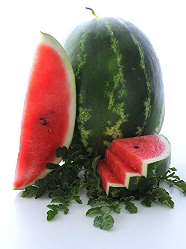 Cal Sweet Supreme Watermelon Seeds (Citrullus lanatus, Red-Fleshed Variety) – 125+ Non GMO & Heirloom Seeds by Isla’s Garden Seeds, Classic Sweet Summer Melons, Excellent Gardening Gift Idea