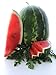 Cal Sweet Supreme Watermelon Seeds, 125+ Premium Heirloom Seeds, ON Sale!, (Isla's Garden Seeds), Non GMO Organic, 85% Germination