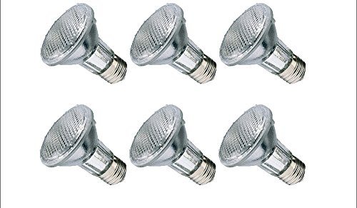 6-Pack Halogen PAR20 Light Bulbs