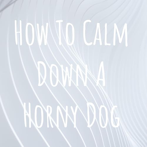 『How To Calm Down A Horny Dog』のカバーアート