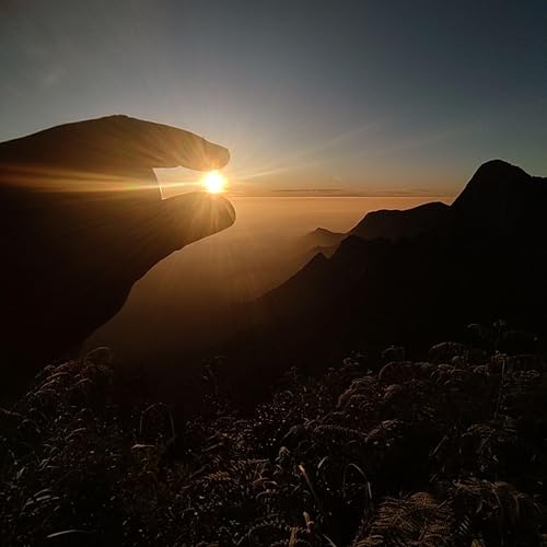 『Tedz Talk』のカバーアート