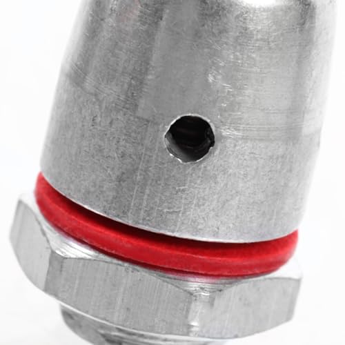 MAGICLULU Repuesto Válvula de Seguridad para Olla a Presión 2 piezas de acero inoxidable de 10mm miniatura 6