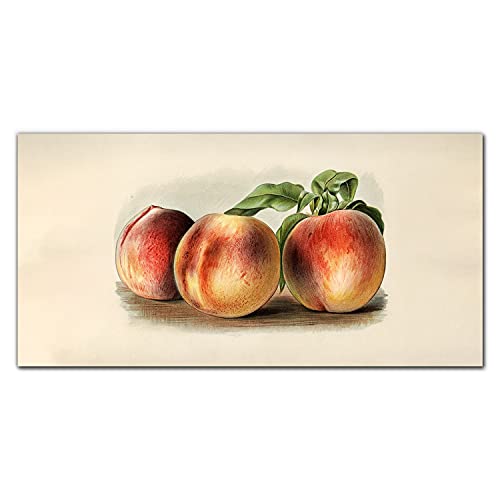 Décoration murale verre acrylique pour sublimer votre salon design motif fruits