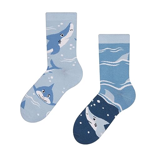 Dedoles Socken Kinder Mädchen Jungen Baumwolle viele lustige Designs Weihnachtssocken 1 Paar Farbe Blau Motiv Grauer Hai Gr. 27-30