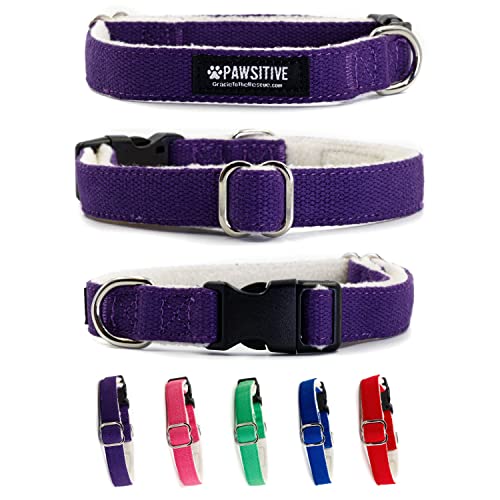 Pawsitive Hemp Dog Collar Purple Dog Collar We Donate a Collar for