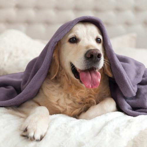 Image of BEDELITE Fleece Blanket Soft Plush Throw for Couch Dusty Purple 50 inchx60 inch