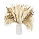 Regalos finos: nuestro paquete Pampas Grass también se puede utilizar como regalo de cumpleaños, decoración de bodas Bohemia y otros eventos para dar a sus seres queridos un regalo único. También es un gran apoyo para la fotografía y las fiestas temáticas.