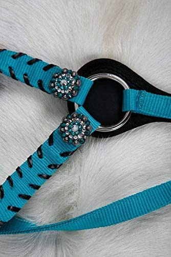 Showman Nylon Headstall & Breast Collar Set w/Crystal Rhinestone Conchos (Teal)