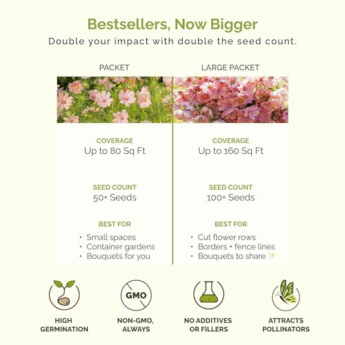 Eden Brothers Cosmos Seeds - Apricot Lemonade - Thumbnail 4