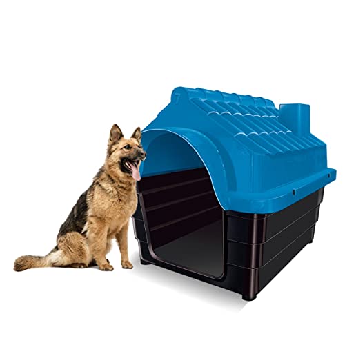 Kit Casa para Cachorros com Porta Ração N7 Cor:azul