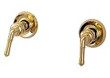 Trim Kit for 2-handle Shower Valve, Fit Delta Washerless Shower, Polished Brass Finish -By Plumb USA