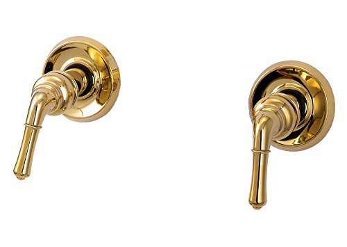 Trim Kit For 2-Handle Shower Valve, Fit Delta Washerless Shower, Polished Brass Finish -By Plumb Usa 38822 #TOP2