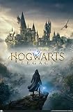 Trends International Harry Potter: Hogwarts Legacy - Key Art Wall Poster, 34L x 22.4W, Unframed Version