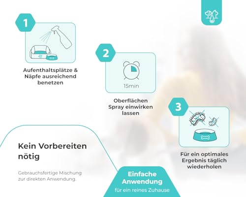 Anti Giardien Spray - RWC - Oberflächen Desinfektionsmittel für Hunde und Katzen - Effektives Hygienespray für Oberflächen mit Reinigungswirkung gegen Giardien, Viren, Bakterien & Pilze 500ml