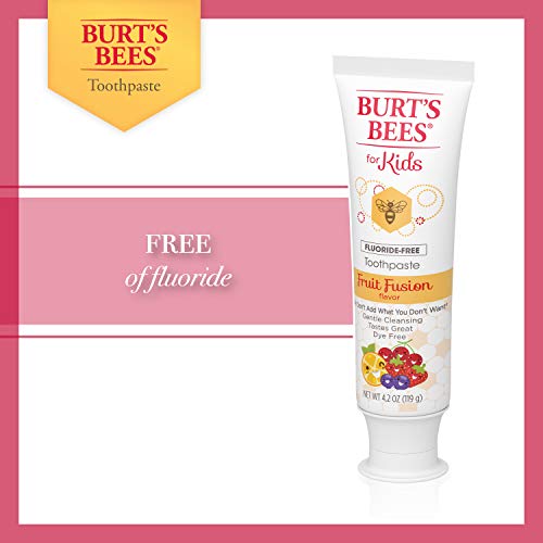 Burt\'s Bees Kids Toothpaste, Fluoride Free, Fruit Fusion, 4.2 Oz, Pack of 4
