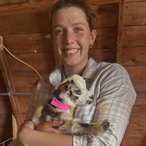 Springtime In The Barn