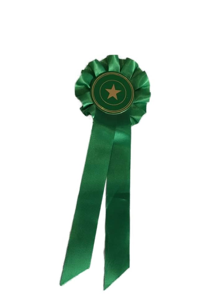 1 tier Rosette ribbon award prize Box pleat prize, fund raising, birthday. 3.5" (8.cm) across, and 9" (22.cm) Custom text optional (Green)