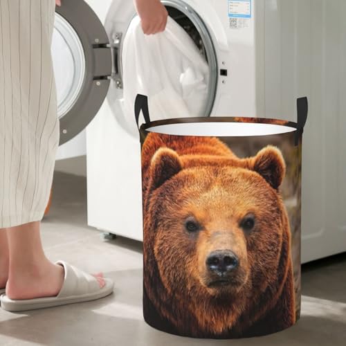 Panier à linge haut imprimé ours, bac rangement couverture - 8