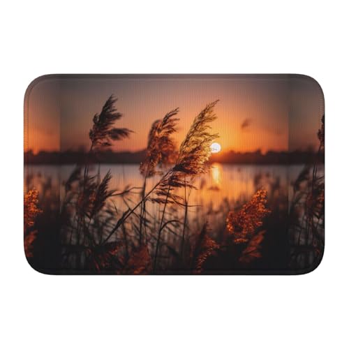 Lock Edge Floor Mat Hem 40x60 DDCXZPP Reeds in The Sunset Printed Anti-Slip Drip Molded Bottom, Ideal Easy to Clean and Resistant to Fade