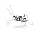 4M Insectoid Robot Science Kit