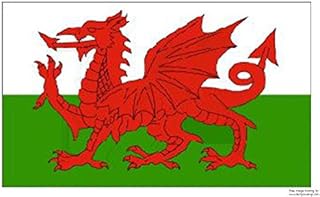5ft X 3ft Wales Dragon National Flag