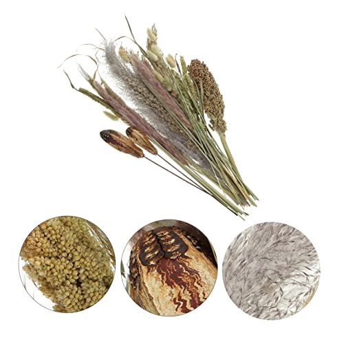 Ramo Seco para Decoración de Sala y Centros de Mesa Natural miniatura 3