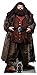 Produktbild empireposter Harry Potter - Hagrid - Pappaufsteller Standy - 96x197 cm